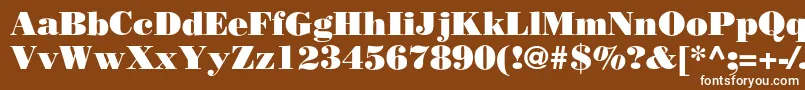 フォントRothniPoster – 茶色の背景に白い文字