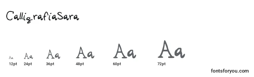 Размеры шрифта CalligrafiaSara