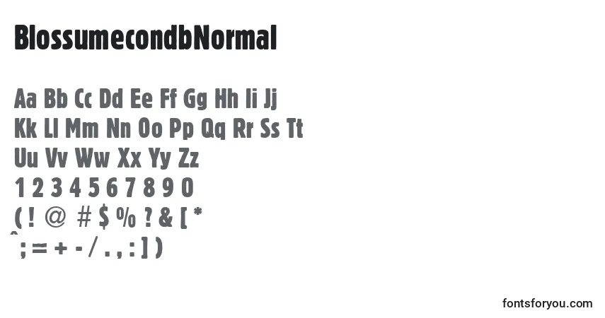 A fonte BlossumecondbNormal – alfabeto, números, caracteres especiais