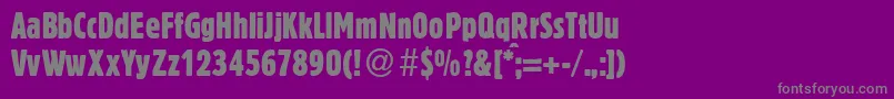 BlossumecondbNormal Font – Gray Fonts on Purple Background