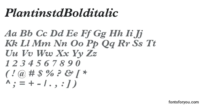Шрифт PlantinstdBolditalic – алфавит, цифры, специальные символы