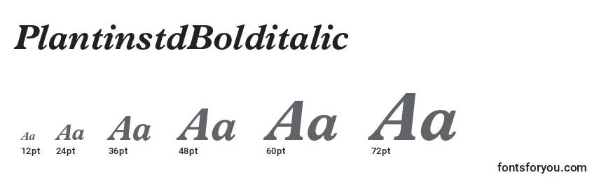 PlantinstdBolditalic Font Sizes