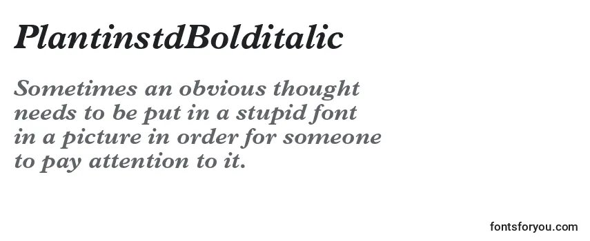 Review of the PlantinstdBolditalic Font