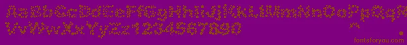 Alphabet05 Font – Brown Fonts on Purple Background