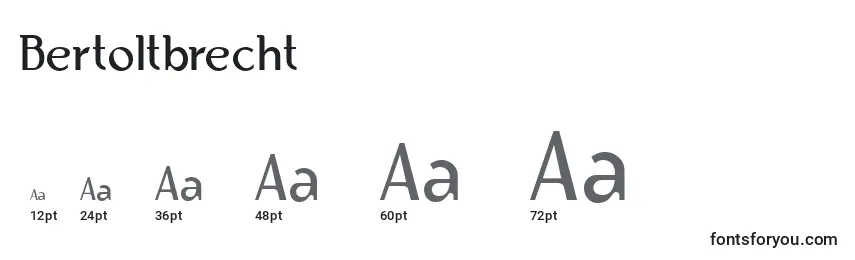 Bertoltbrecht Font Sizes