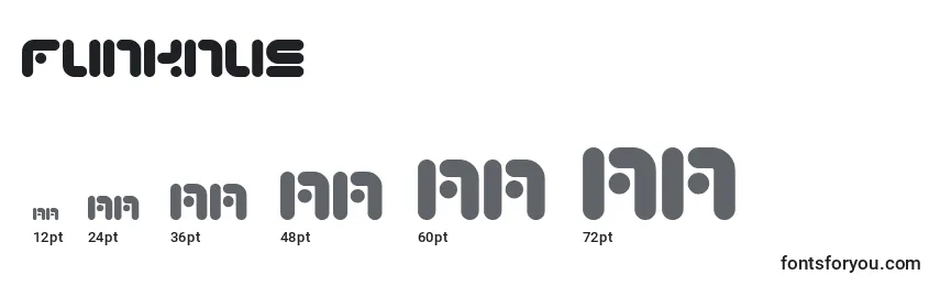 Funknus Font Sizes