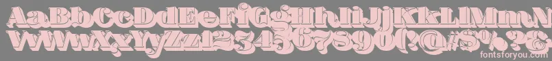 FatFlamingo5ShadowFill Font – Pink Fonts on Gray Background