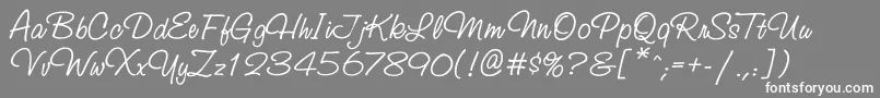 Studioscriptctt Font – White Fonts on Gray Background