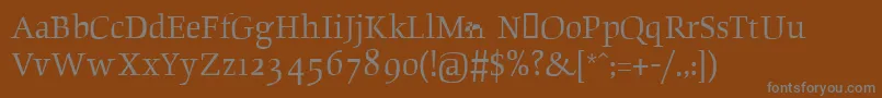 Шрифт Beowolfserifr23 – серые шрифты на коричневом фоне