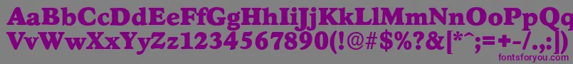 フォントStratfordserialBlackRegular – 紫色のフォント、灰色の背景
