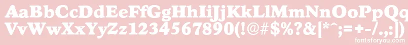 StratfordserialBlackRegular Font – White Fonts on Pink Background