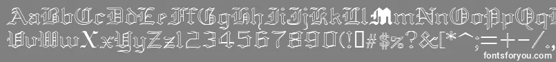 フォントYolda – 灰色の背景に白い文字