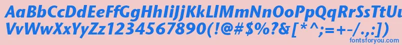 StoneSansItcTtBolditalic Font – Blue Fonts on Pink Background