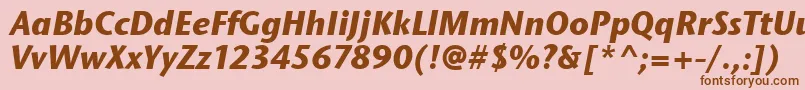 StoneSansItcTtBolditalic Font – Brown Fonts on Pink Background