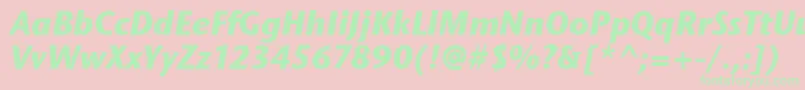 StoneSansItcTtBolditalic Font – Green Fonts on Pink Background