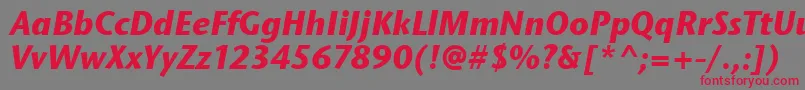 フォントStoneSansItcTtBolditalic – 赤い文字の灰色の背景