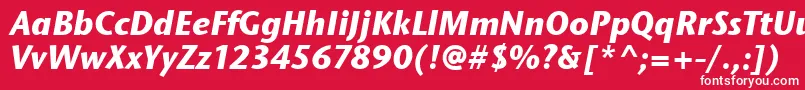 フォントStoneSansItcTtBolditalic – 赤い背景に白い文字