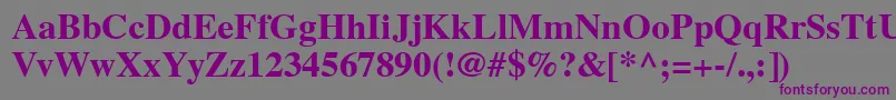 VremyaBold Font – Purple Fonts on Gray Background