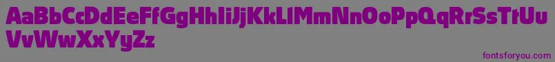フォントAbsolutProBlack – 紫色のフォント、灰色の背景