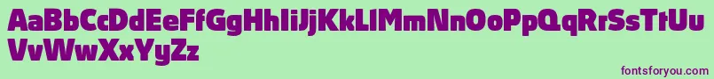 AbsolutProBlack-Schriftart – Violette Schriften auf grünem Hintergrund