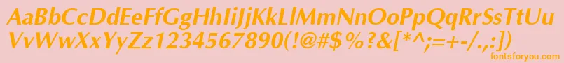 AgopusBoldOblique Font – Orange Fonts on Pink Background