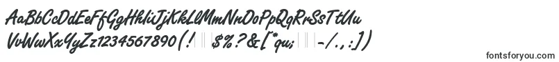 FreestyleScriptBoldPlain Font – Label Fonts