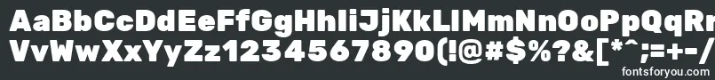 フォントRubikoneRegular – 黒い背景に白い文字