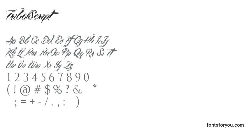 Schriftart TribalScript – Alphabet, Zahlen, spezielle Symbole