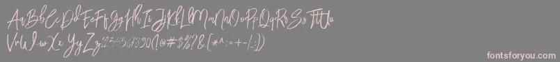 BloomyScriptFree-Schriftart – Rosa Schriften auf grauem Hintergrund
