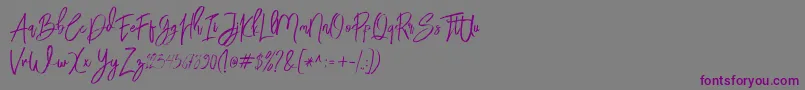 BloomyScriptFree Font – Purple Fonts on Gray Background