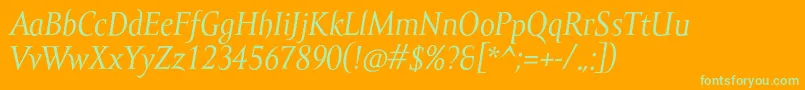 AmorSerifProItalic Font – Green Fonts on Orange Background