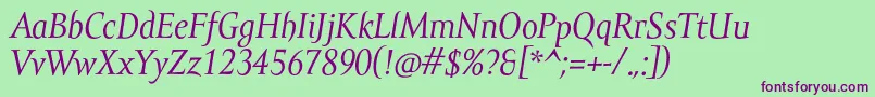 AmorSerifProItalic Font – Purple Fonts on Green Background