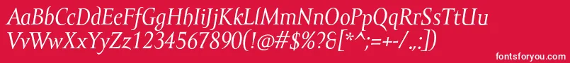 AmorSerifProItalic Font – White Fonts on Red Background