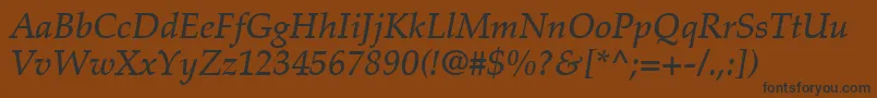 PalatinoLtMediumItalic Font – Black Fonts on Brown Background