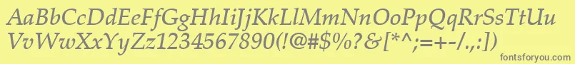 PalatinoLtMediumItalic Font – Gray Fonts on Yellow Background