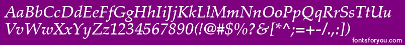 PalatinoLtMediumItalic Font – White Fonts on Purple Background