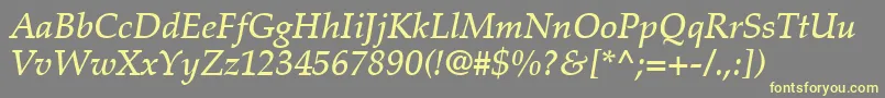 PalatinoLtMediumItalic Font – Yellow Fonts on Gray Background