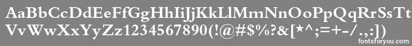 フォントBembostdBold – 灰色の背景に白い文字