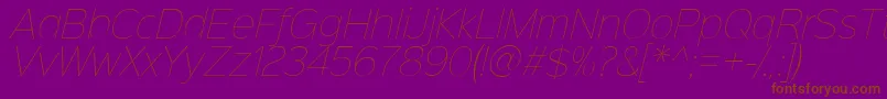 Sinkinsans100thinitalic Font – Brown Fonts on Purple Background