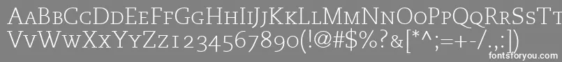 MonologueLightCapsSsiLightSmallCaps Font – White Fonts on Gray Background