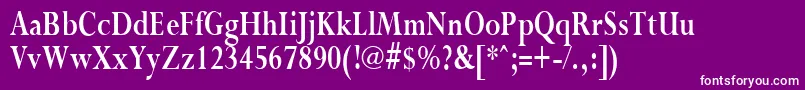PurloincondensedBold Font – White Fonts on Purple Background