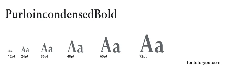 PurloincondensedBold Font Sizes