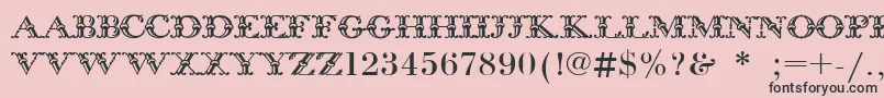 フォントBodoniInitials – ピンクの背景に黒い文字