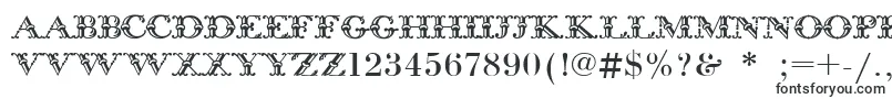 BodoniInitials Font – Fonts for VK