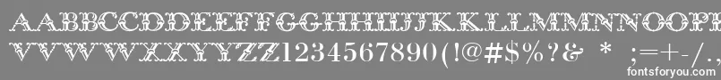 BodoniInitials Font – White Fonts on Gray Background