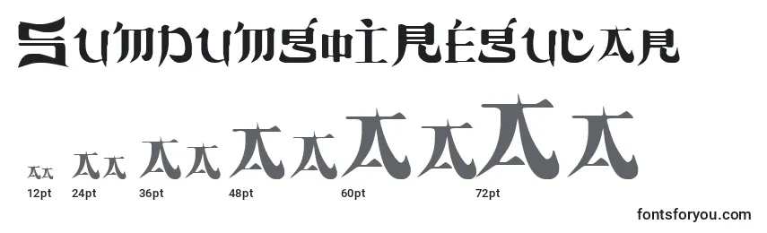 Размеры шрифта SumdumgoiRegular
