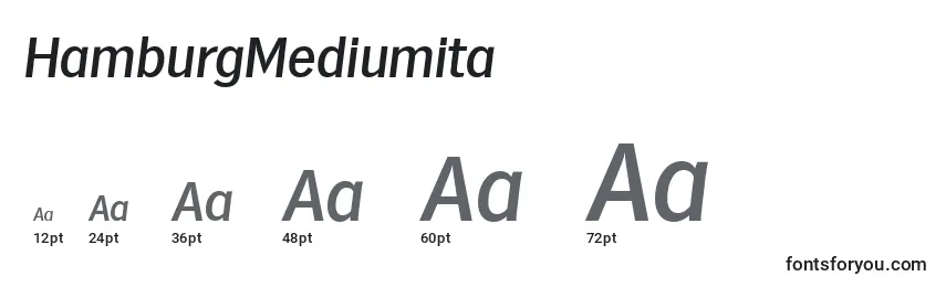 Размеры шрифта HamburgMediumita