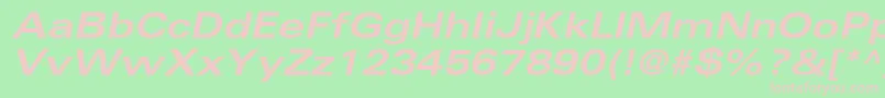 NovaExpandedSsiBoldExpandedItalic Font – Pink Fonts on Green Background