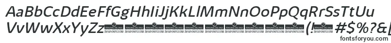 KabrioAlternateRegularItalicTrial Font – Fonts Starting with K