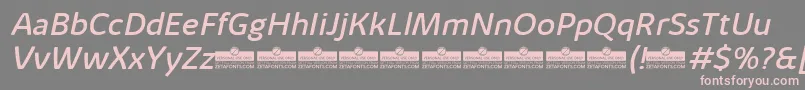 KabrioAlternateRegularItalicTrial Font – Pink Fonts on Gray Background